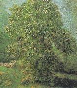 Vincent Van Gogh Blossoming Chestnut Tree Sweden oil painting artist